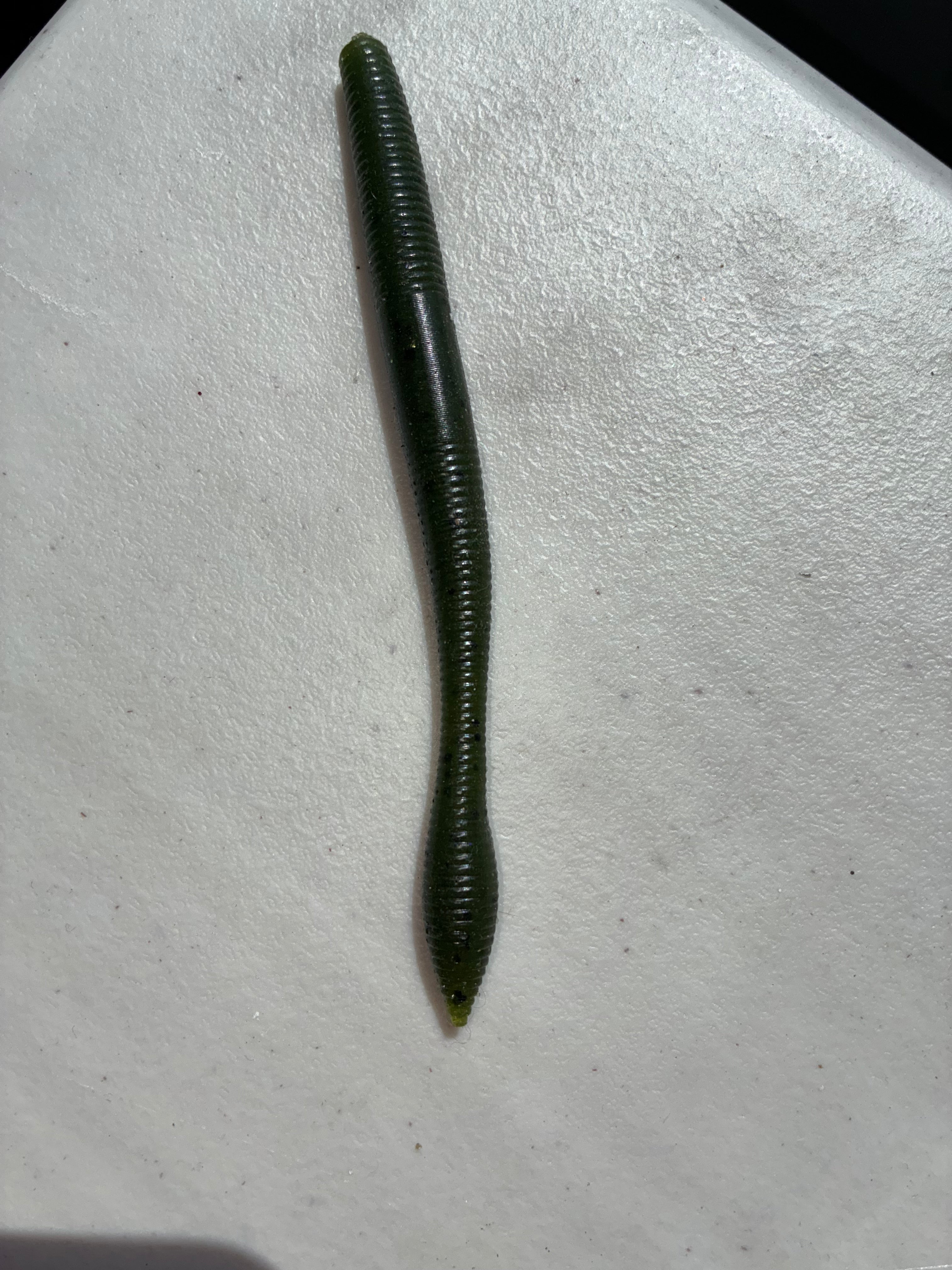 Bubble Tail Worm